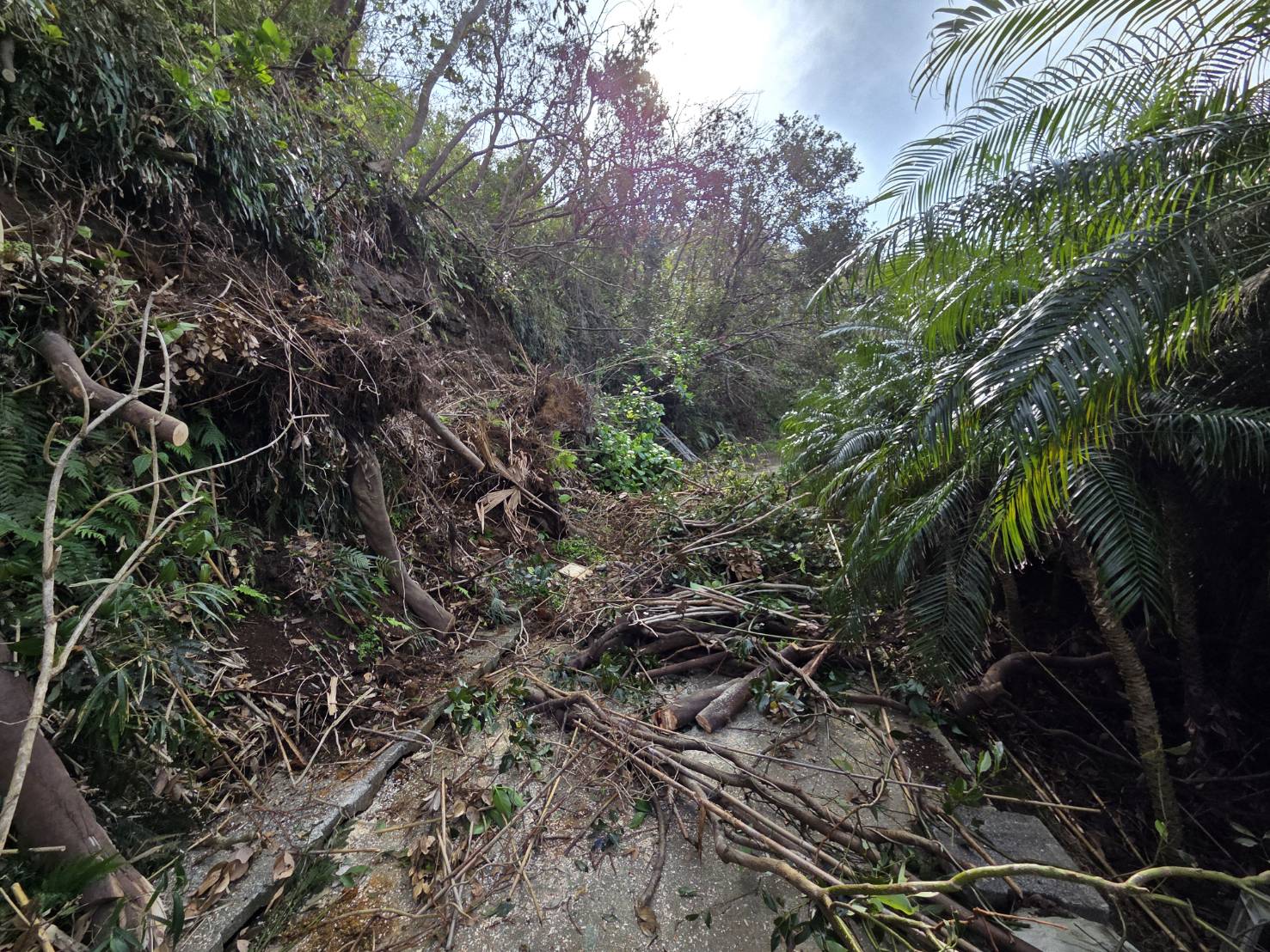 八丈島台風被害支援