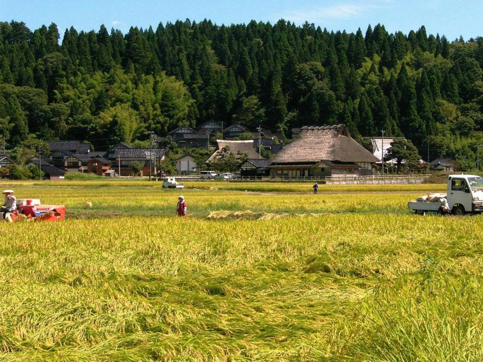 2024年石川県能登半島地震での災害支援活動