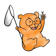 【NPO法人学びーば】石川県珠洲市・子どもたちの居場所をつくる学習支援学びーば2026夏